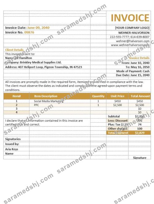 Basic Agency Invoice Template